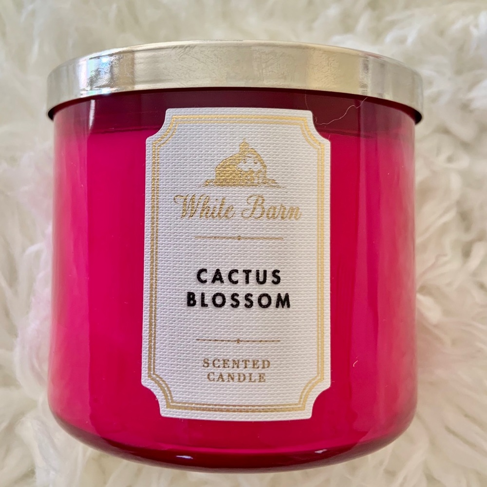 Cactus 🌵 blossom 3wick candle ✨